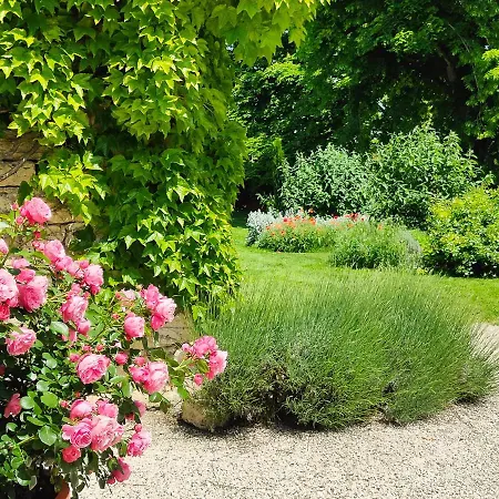 L'envolee Sauvage Gasthuis Livers-Cazelles