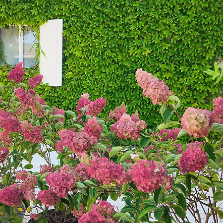 L'envolee Sauvage Gasthuis Livers-Cazelles