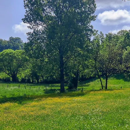 L'envolee Sauvage 4*