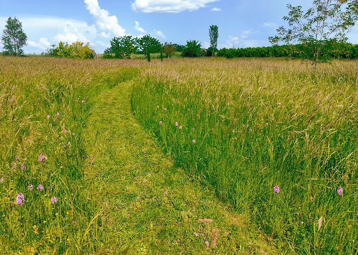 L'envolee Sauvage 4*