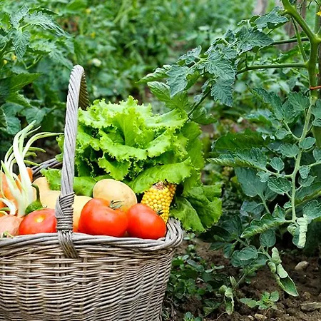 L'envolée Sauvage Livers-Cazelles