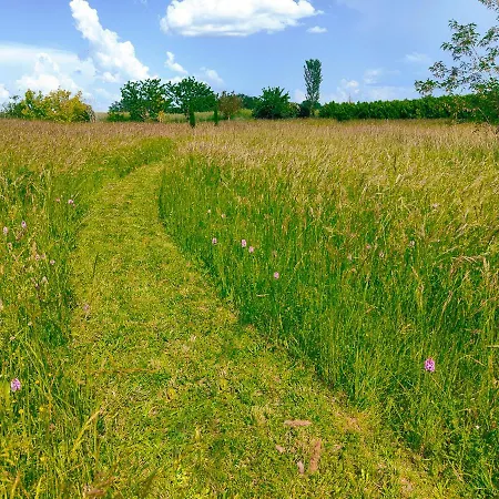 L'envolée Sauvage 4*