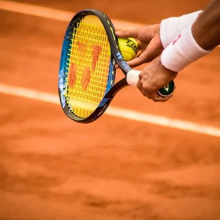 Maison d'hôtes L'envolée Sauvage