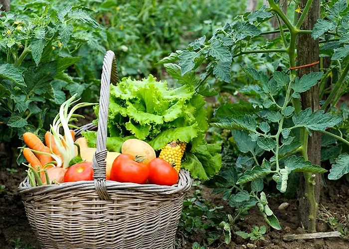 L'envolee Sauvage Livers-Cazelles