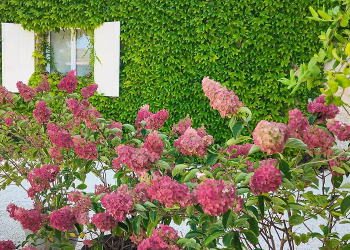 L'envolee Sauvage Penzion Livers-Cazelles